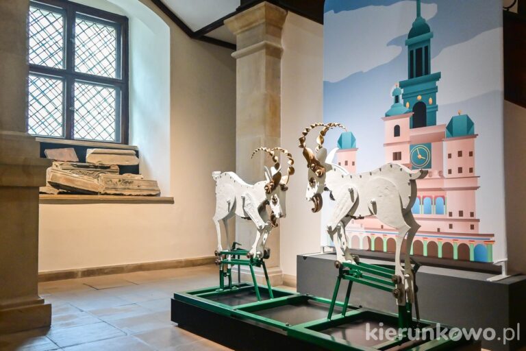 ratusz muzeum poznania koziołki poznańskie muzeum w ratuszu wystawa poznań