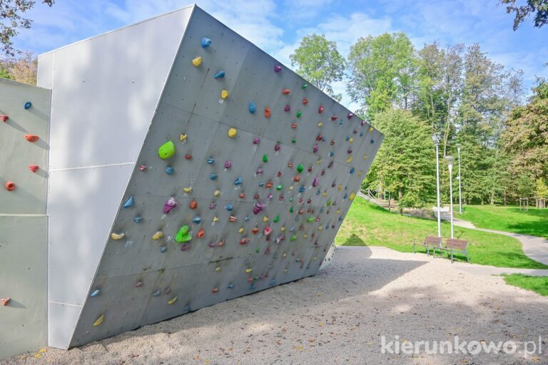atrakcje dla dzieci gniezno ścianka wspinaczkowa w parku piastowskim