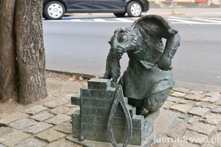 królik murarz gniezno