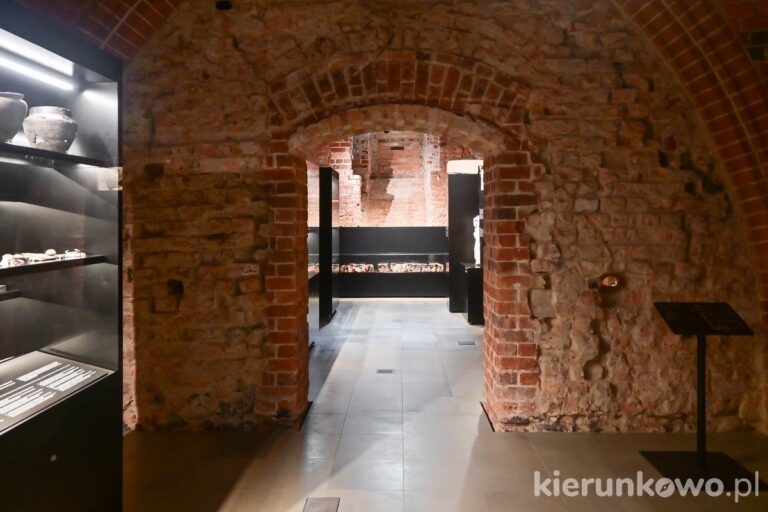 gotyckie piwnice ratusza poznań