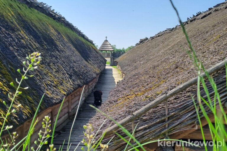 osada łużycka w biskupinie muzeum archeologiczne w biskupinie