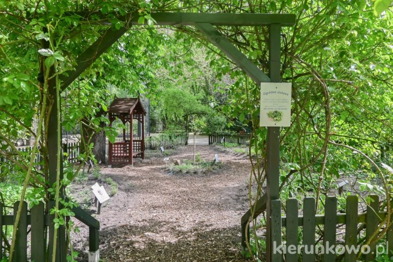 ogródek ziołowy w starym zoo w poznaniu
