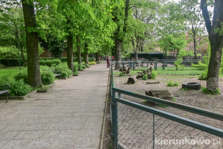 wybiegi zwierząt udomowionych zoo poznań
