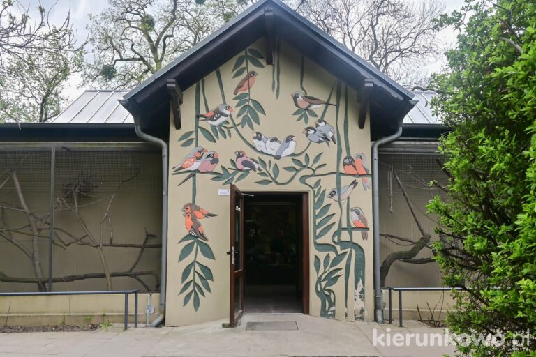 wejście do dawnej ptaszarni w zoo w poznaniu