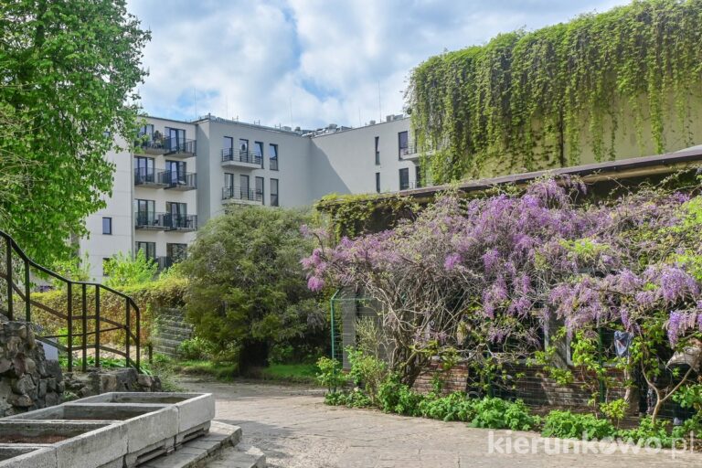 ogród zoologiczny w poznaniu na jeżycach