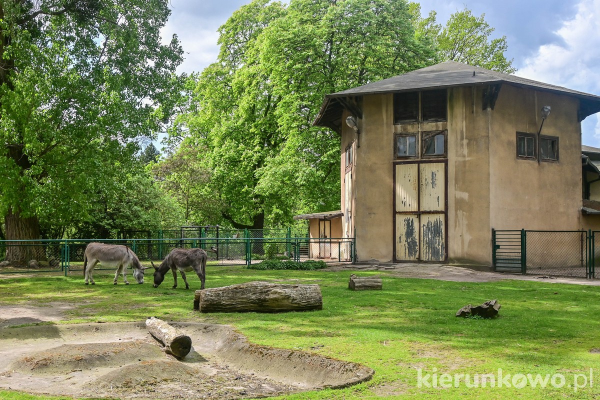 stare zoo w poznaniu wybieg dla zwierząt kopytnych dawna słoniarnia zabytkowa parowozownia