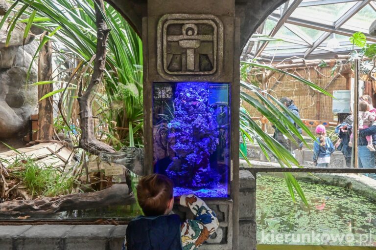 pawilon zwierząt zmiennocieplnych poznań stare zoo w poznaniu