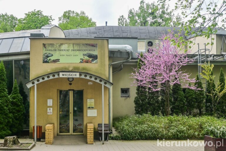 wejście do pawilonu zwierząt zmiennocieplnych w zoo poznań