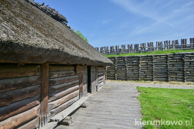 domy domostwa chałupy osada w biskupinie rekonstrukcja