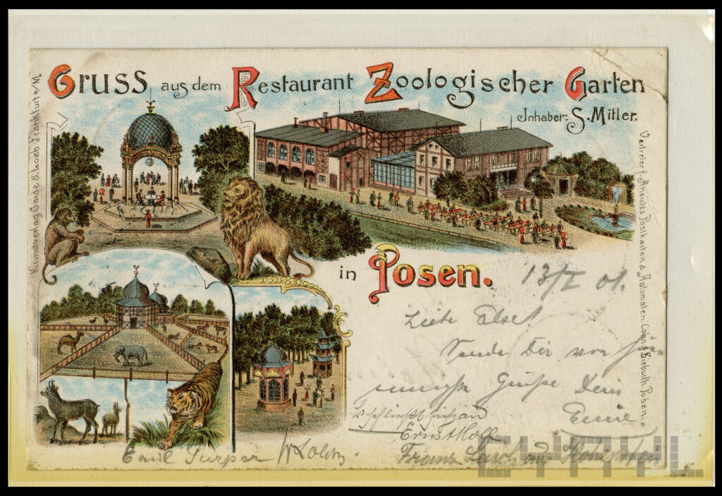 Pocztówka z okresu przed I wojną światową (widoczna restauracja, słoniarnia i część parkowa)