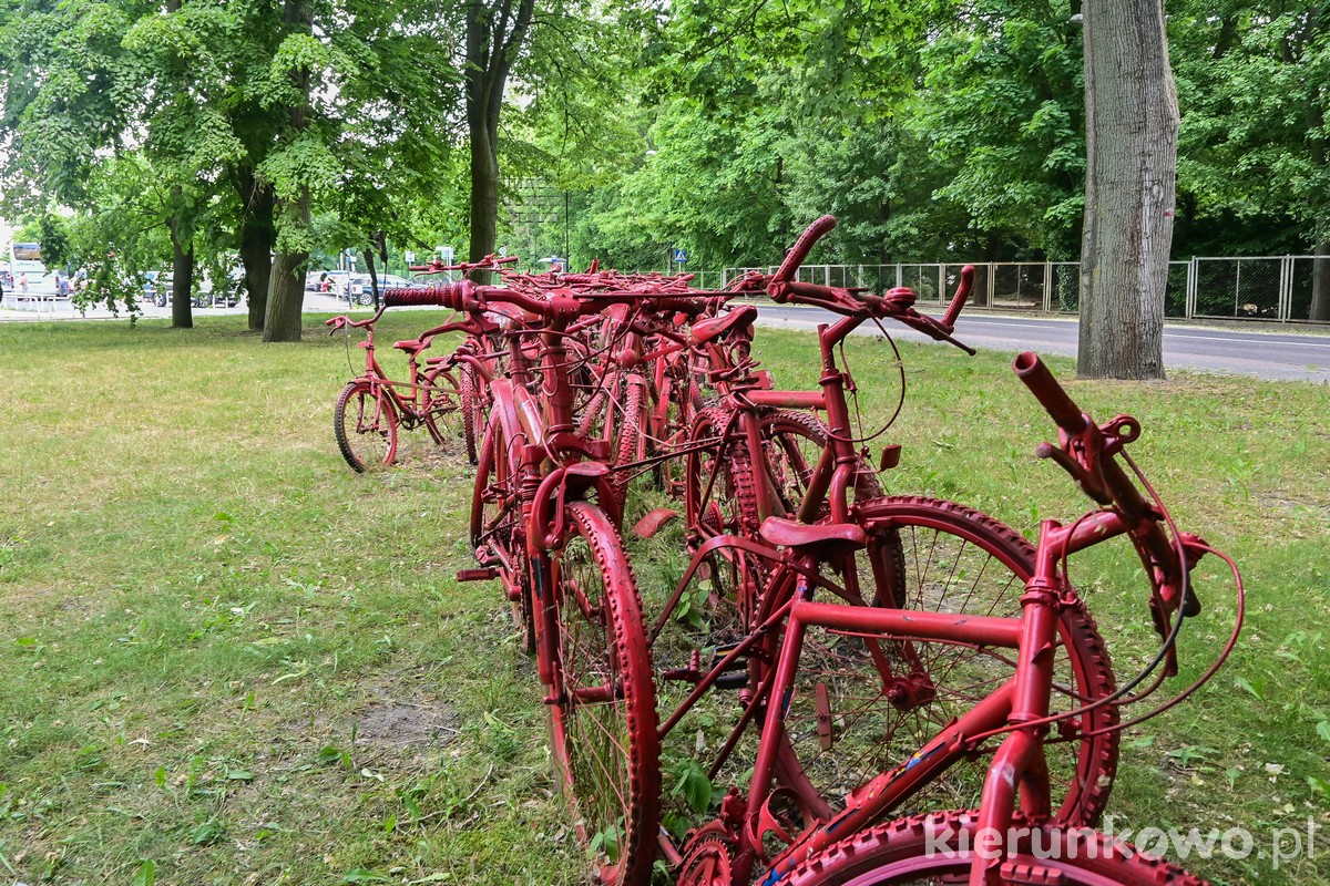 czerwony peleton kórnik