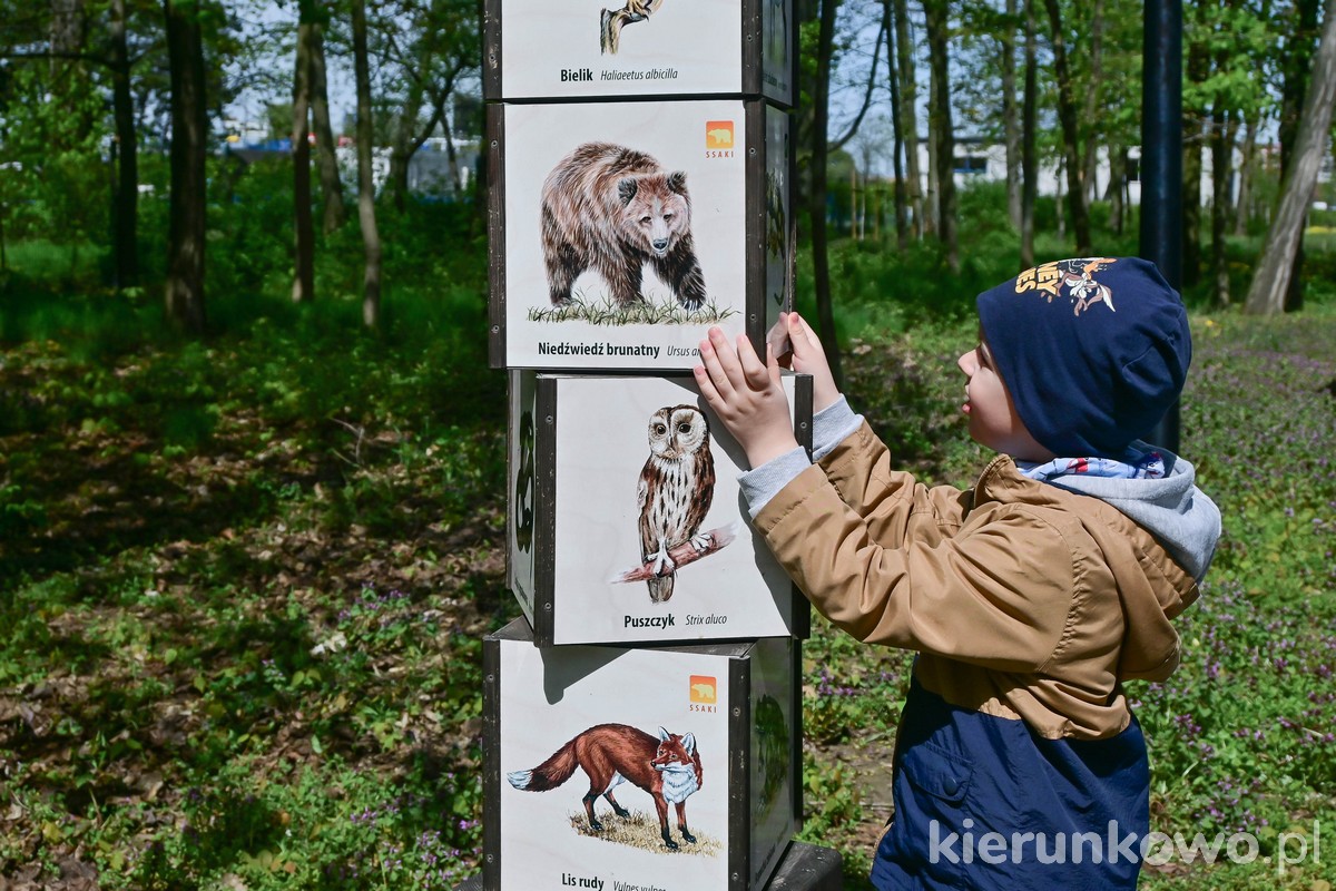 ogród zoologiczny w lesznie ścieżka dla dzieci atrakcje