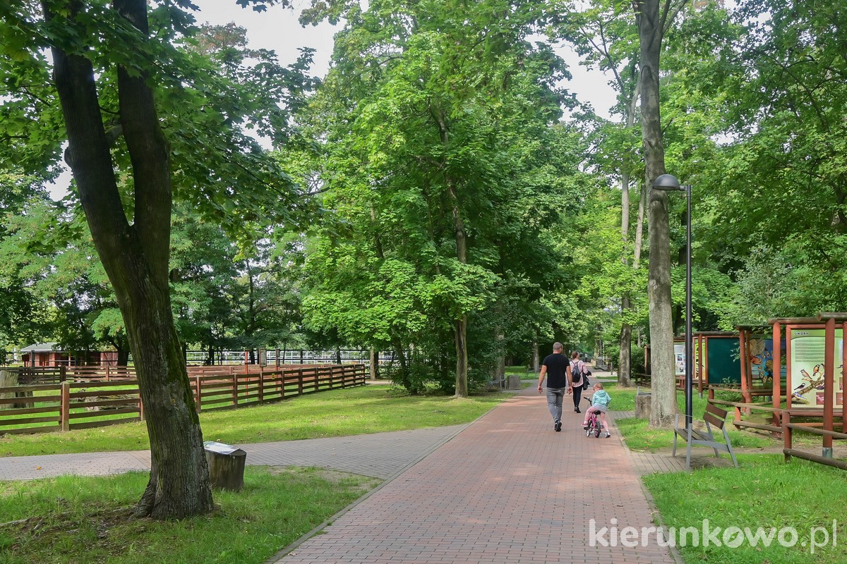 ogród zoologiczny w lesznie park tysiąclecia leszno