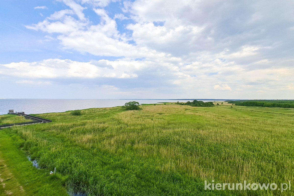 widok z wieży widokowej w klukach na jezioro łebsko