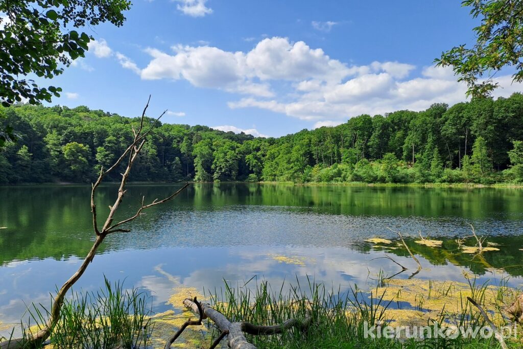 jezioro kociołek wielkopolski park narodowy