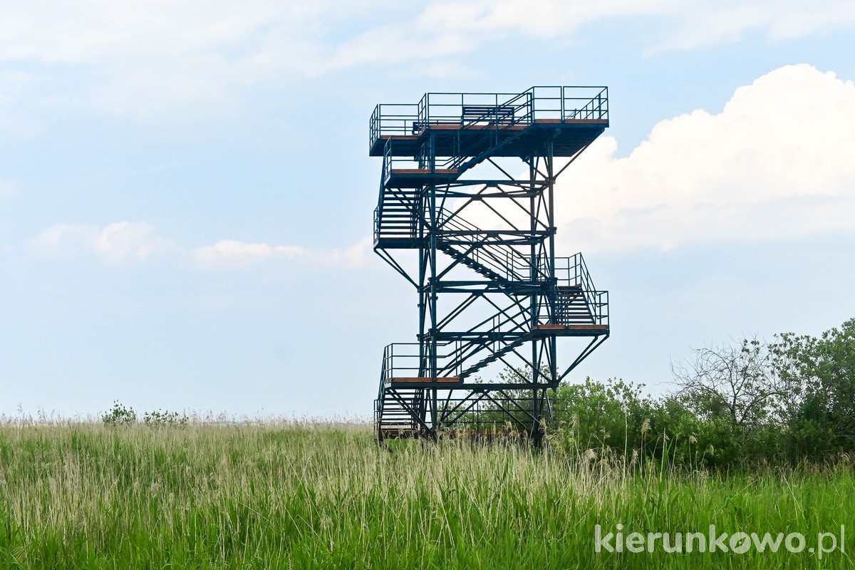 nowa wieża widokowa w klukach