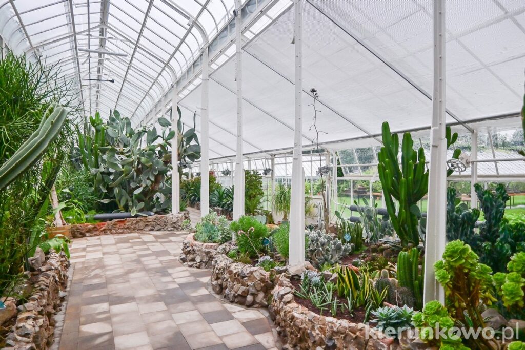 Palmiarnia zamku Książ w wałbrzychu kolekcja sukulentów i kaktusów szklarnia tropiki ogród zimowy wałbrzych