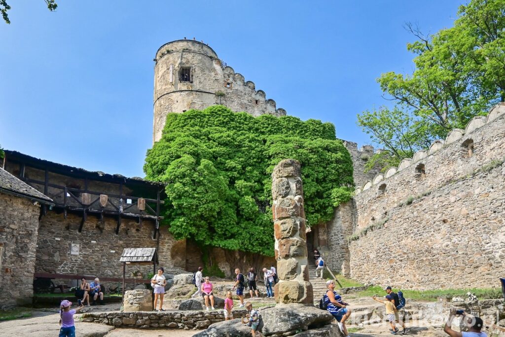 zamek chojnik dziedziniec zamkowy widok na wieżę bluszcz pospolity na chojniku polska zachodnia atrakcje