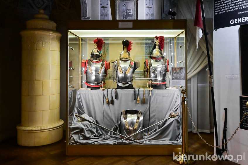 Wystawa czasowa "Od Austerlitz do Sedanu" (2024)
