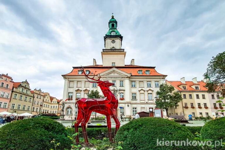 jelenia góra atrakcje ratusz miejski plac ratuszowy jeleń