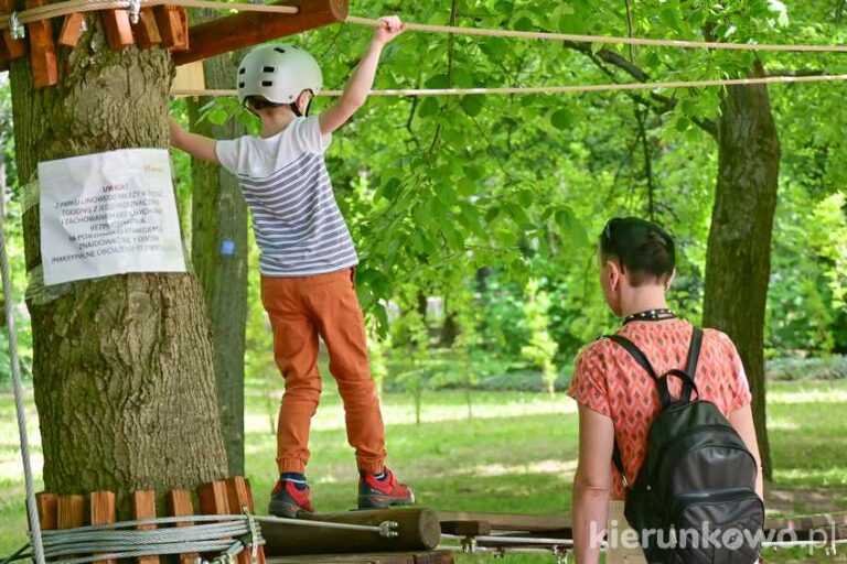 Park linowy w Kórniku przy Promenadzie im. W. Szymborskiej atrakcje dla dzieci w Kórniku