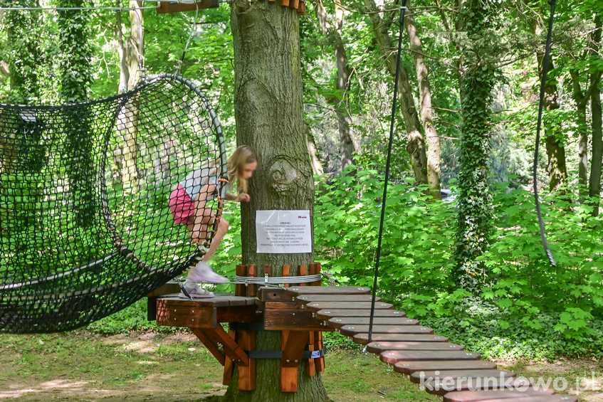 park linowy przy promenadzie w Kórniku