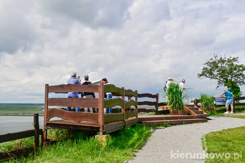 Lubin - tarasy widokowe na Wsteczną Deltę Świny