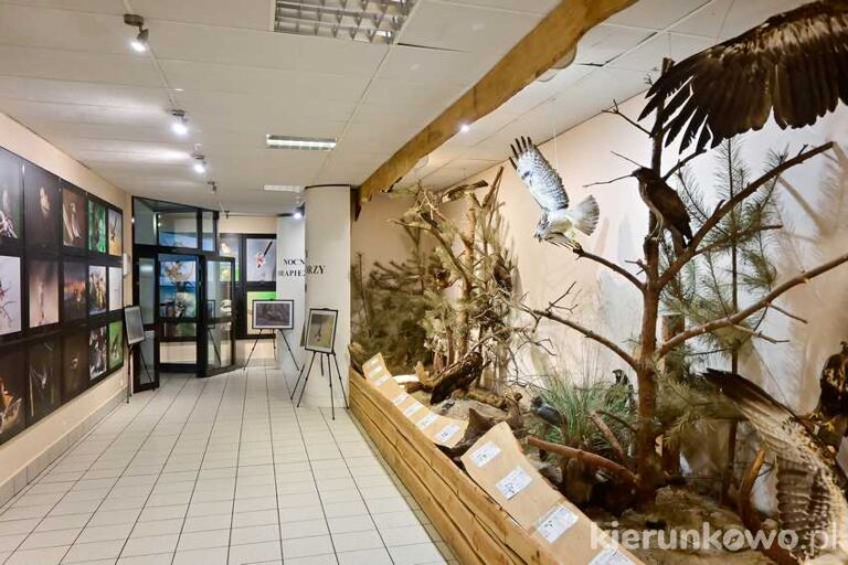 Muzeum Wolińskiego Parku Narodowego w Międzyzdrojach