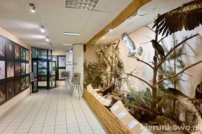 Muzeum Wolińskiego Parku Narodowego w Międzyzdrojach