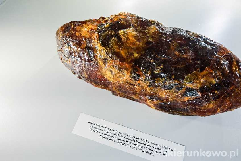 Replika największej bryłki bursztynu w Muzeum WPN