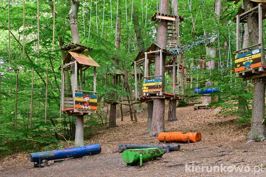 Park linowy Bluszcz Międzyzdroje