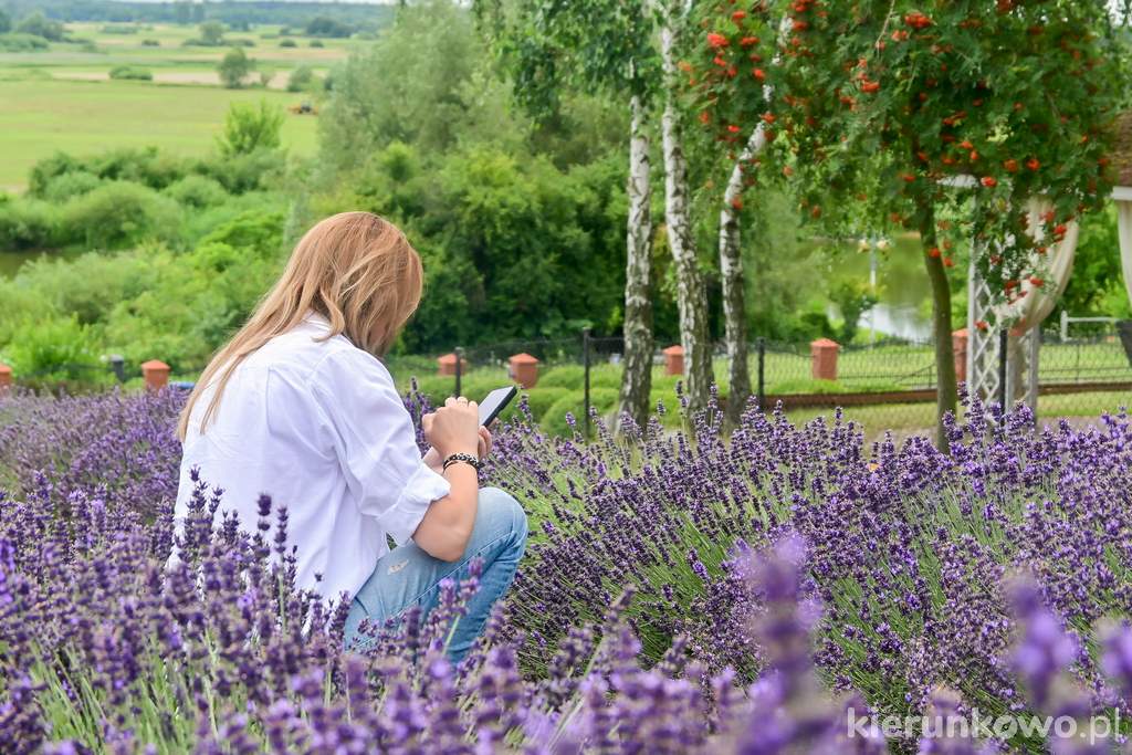 Lawendowe pola w Lądzie to miejsce które uwielbiają fani natury ale również fotografii
