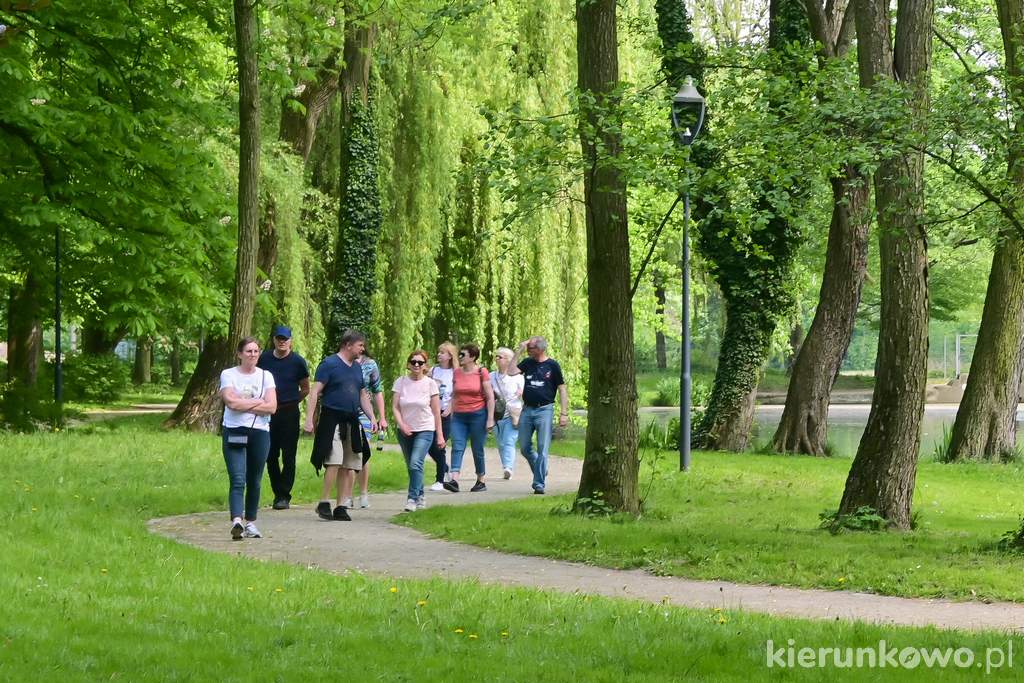 Pałacowy park krajobrazowy rozciąga się na południe od pałacu