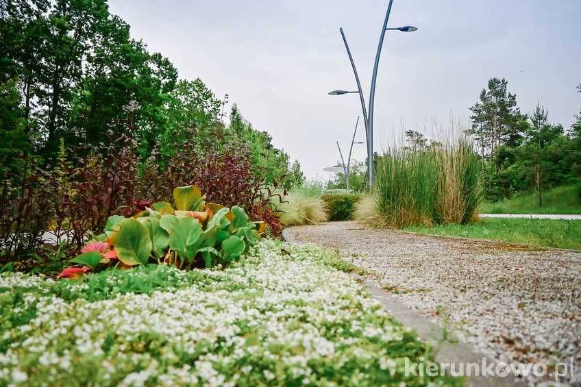 Kwietny ogród na świnoujskiej Promenadzie Zdrowia