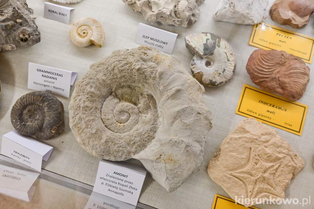 Na wystawie minerałów znajdziecie również skarby znalezione przez założycielkę i właścicielkę kopalni, która prowadzi to miejsce z ogromną pasją i zaangażowaniem! 