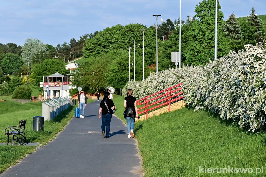 Dokoła jeziora Maltańskiego przebiega ścieżka pieszo-rowerowa (pętla) o długości blisko 6 km.