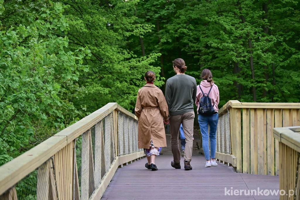 Niezależnie od pory roku, spacer w koronach jest ciekawym doświadczeniem