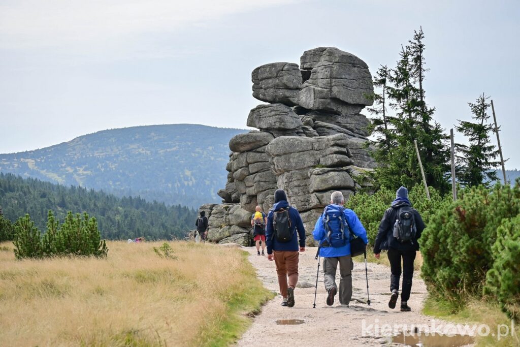 Czerwony szlak na Głównym Grzbiecie Karkonoszy (w głębi formacja skalna "Trzy Świnki")