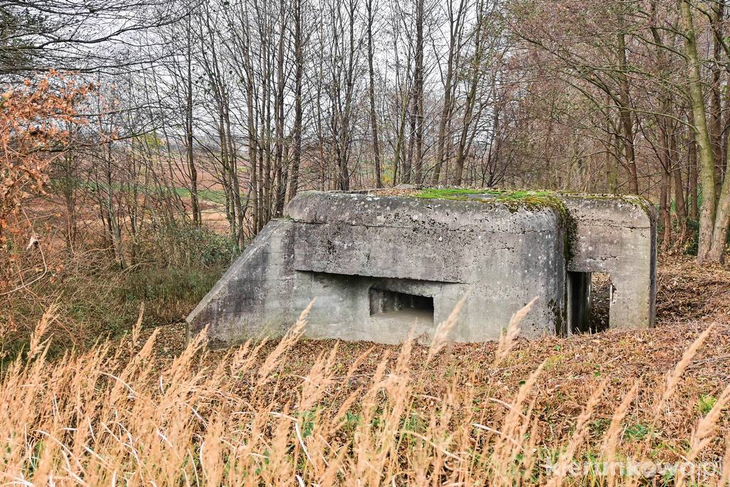 Schrony w Brudzewku (schron przy DW442)