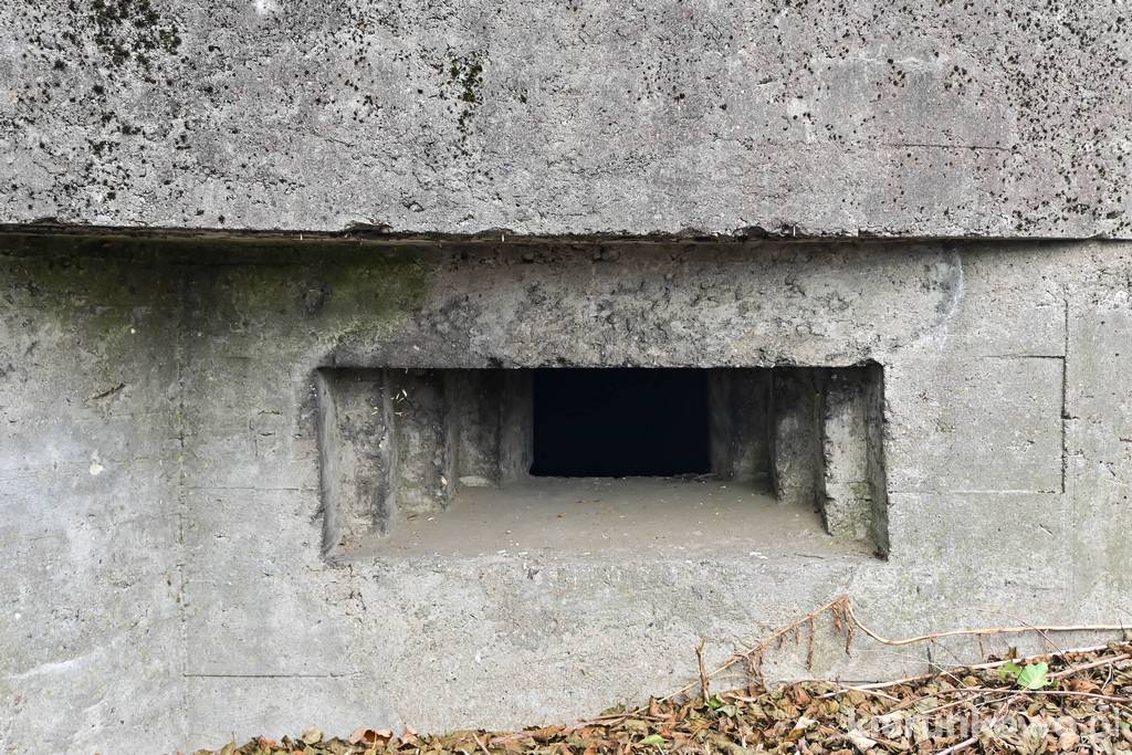 Polski schron bojowy z okresu II wojny światowej w Brudzewku k. Chocza