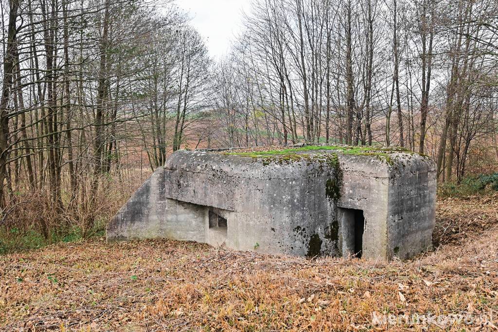 Bunkry w Brudzewku przy drodze Kalisz-Września