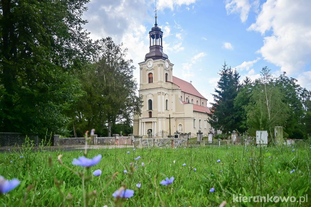 Kościół pw. Wniebowzięcia NMP (dawna kolegiata) w Choczu