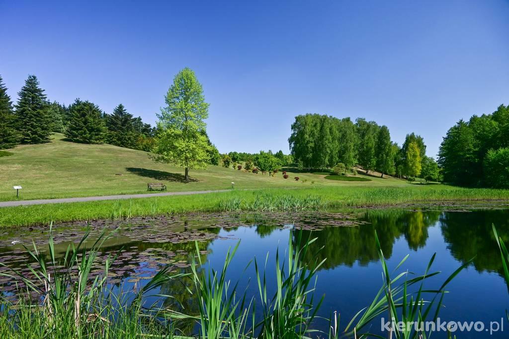 Ogród Botaniczny w Bydgoszczy