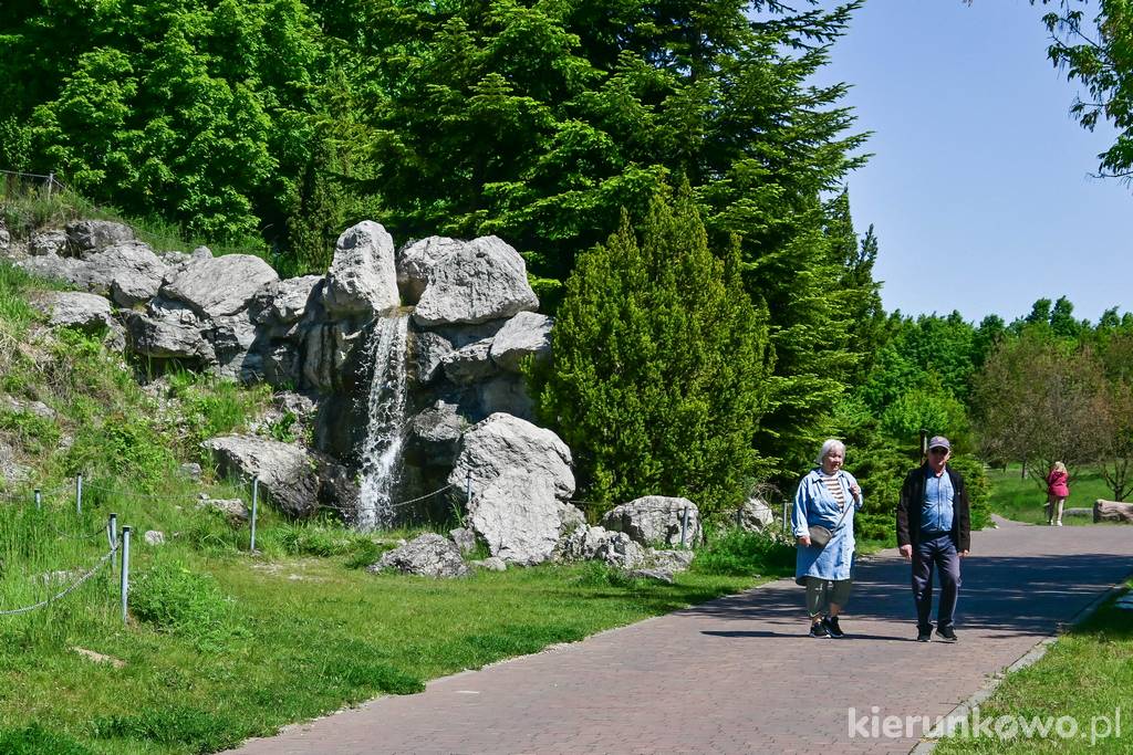 Aleja parkowa w Parku Myślęcinek w Bydgoszczy