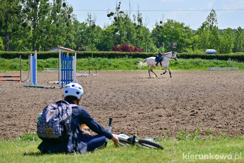 Stadnina koni na terenie parku miejskiego "Myślęcinek" w Bydgoszczy