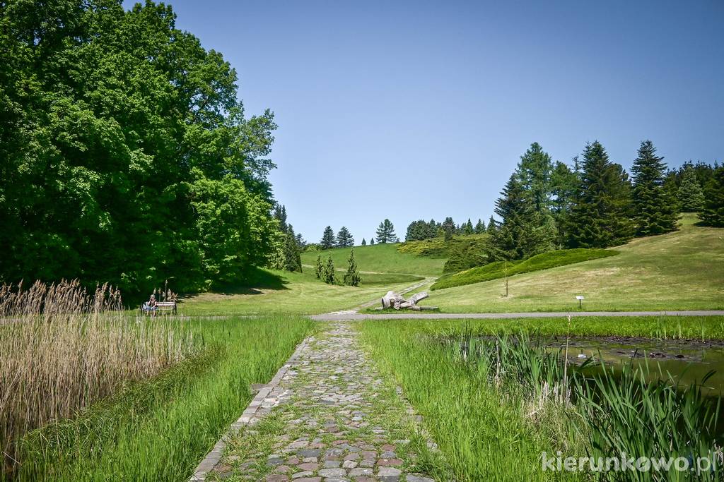 Leśny Park Kultury i Wypoczynku Myślęcinek w Bydgoszczy