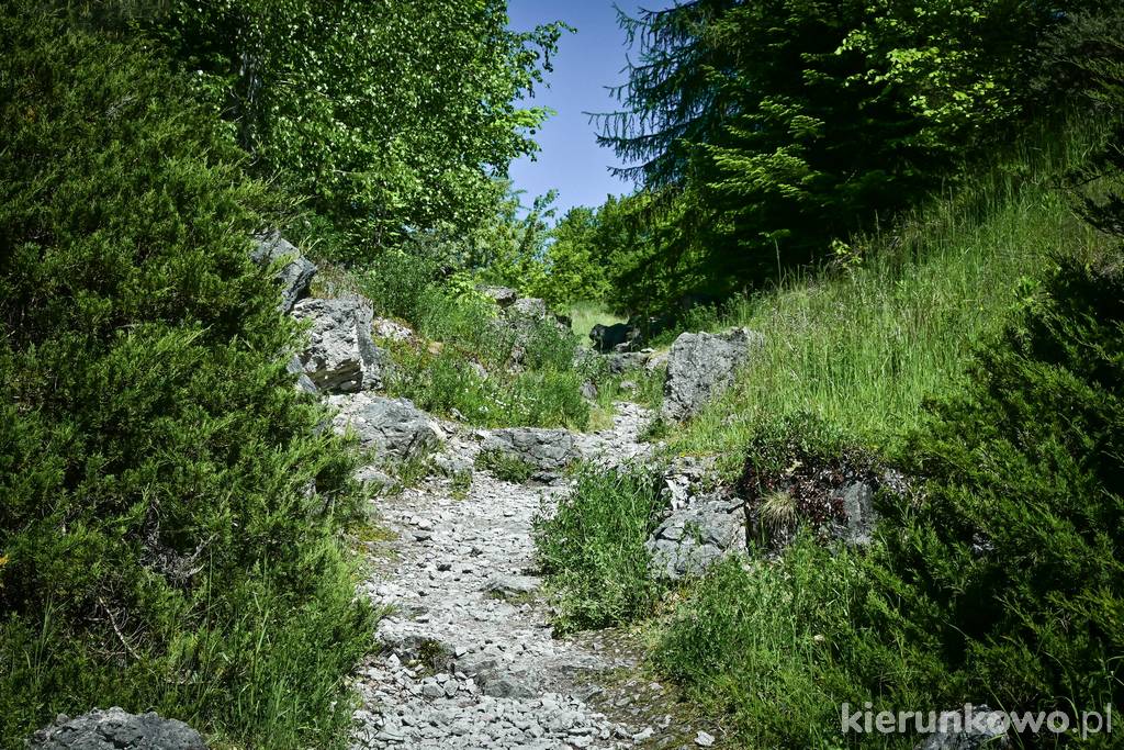 Alpinarium w Ogrodzie Botanicznym w Bydgoszczy