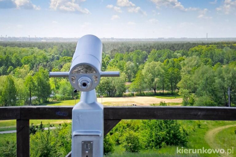 Park Myślęcinek w Bydgoszczy