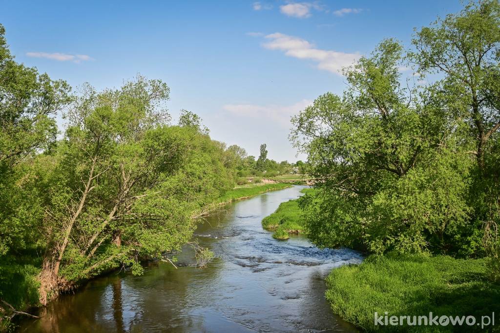 Rzeka Prosna - widok z mostu na trasie Chocz-Pleszew