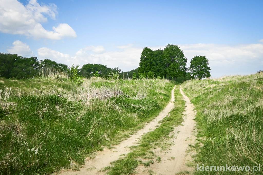 Polna ścieżka nad rzeką Prosną w Choczu co zobaczyć w Choczu